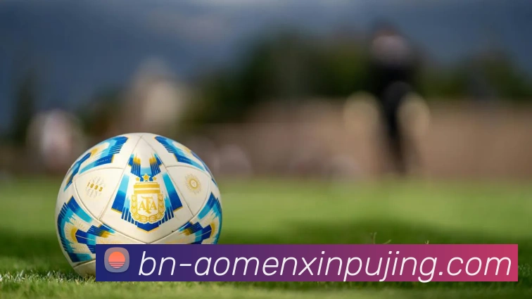 新葡京娱乐APP 封面图